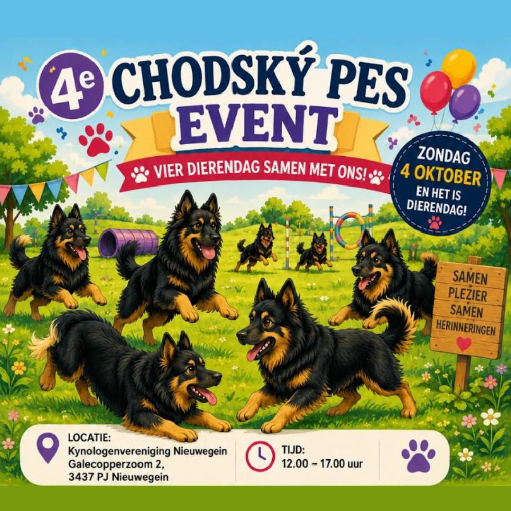 4e CP Event  2026