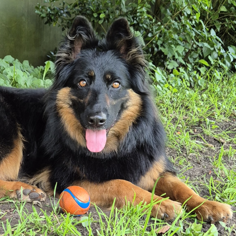 D&iacute;vka 20260621 02 vierkant