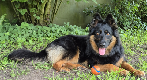 D&iacute;vka 20260621 02 WS