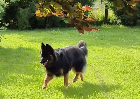 D&iacute;vka 20260621 03WS
