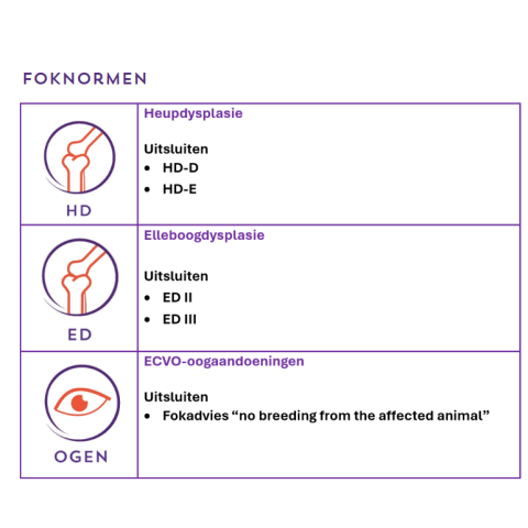 Foknormen
